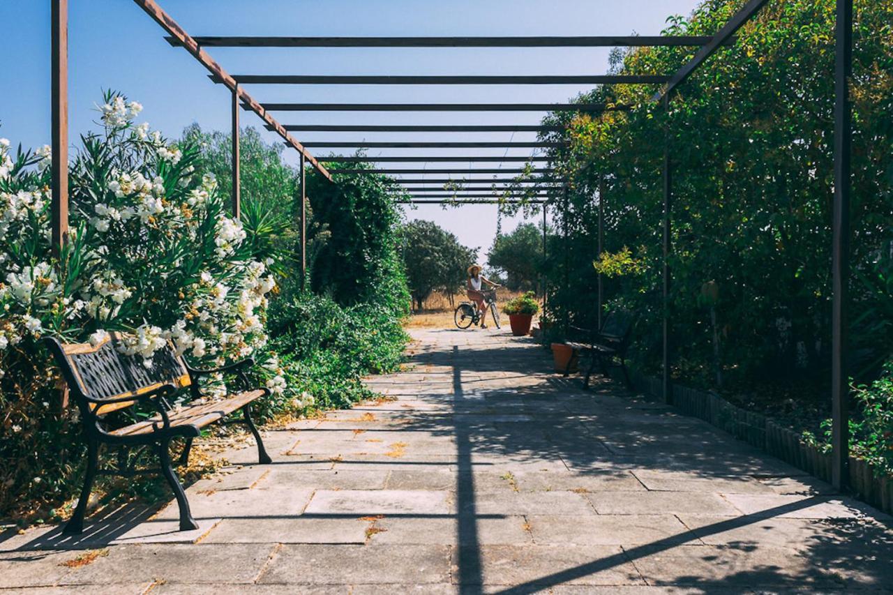 Monte Do Colmeal - Country House & Wine Guest House Mourao Luaran gambar